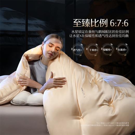 水星家纺MERCURY 【限定·品牌直发】床上用品水星X·金桑蚕丝波兰鹅绒被2489420 商品图0