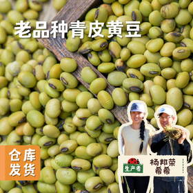 【2025年新豆】生态老品种青皮黄豆 850g/袋 | 合作农友生产，来自贵州黎平洋洞，生产者：杨邦荣 &【公平贸易农人定价】