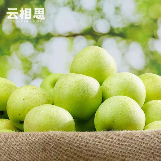 王林苹果新疆 树上熟青森王林青苹果 香甜脆时令鲜果新疆特产 商品图1