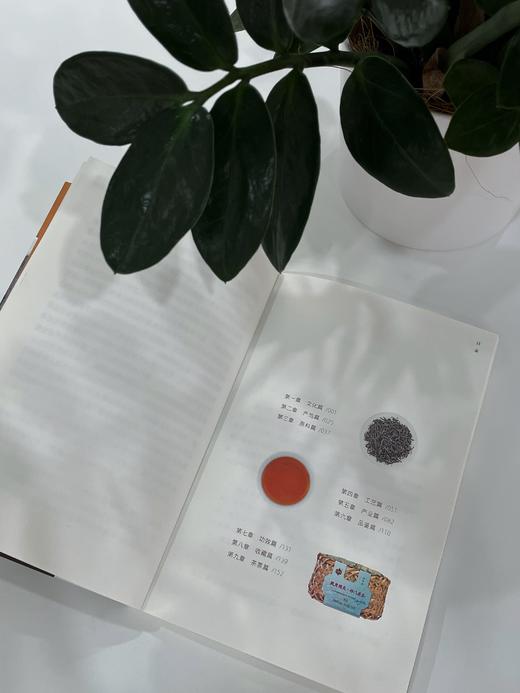 祁门安茶 祁门安茶百科全书 商品图2