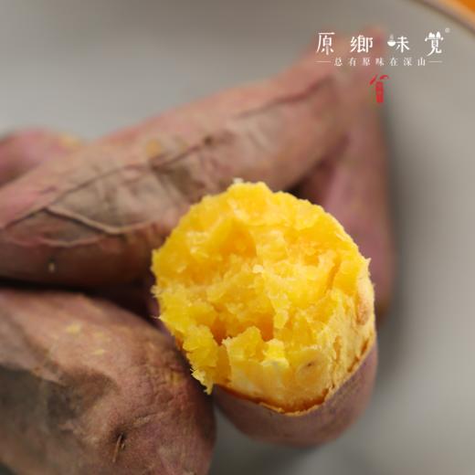 生态老品种鸡蛋黄红薯（农场直发-顺丰包邮） | 5斤/件，来自成都郫都【原乡农场，自产自销】 商品图5