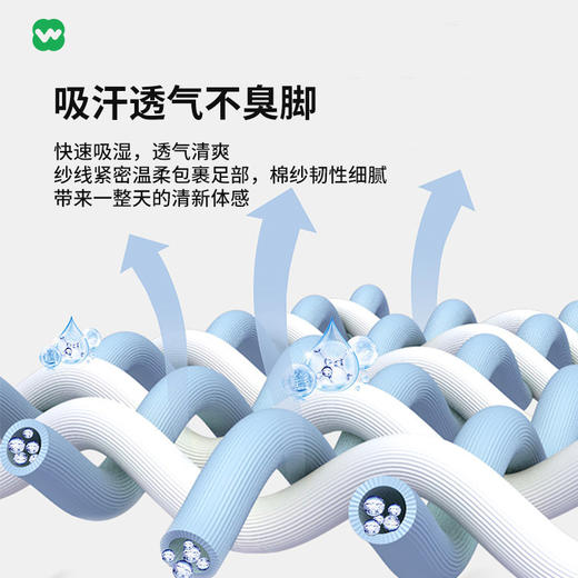 完型丨情侣运动袜毛圈袜5双装 商品图3