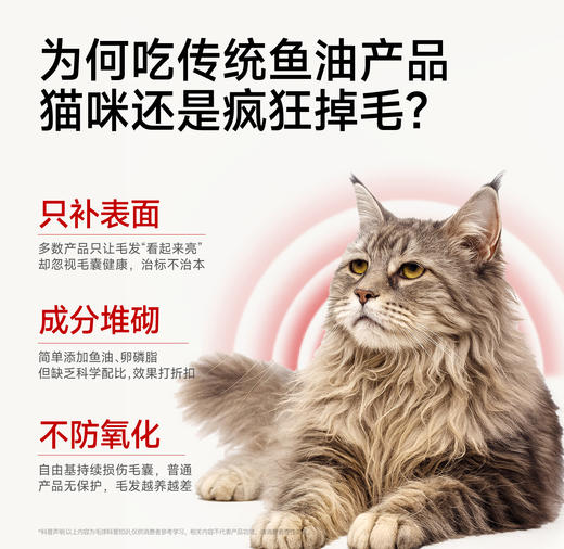 小轻松冻干鱼油棒升级PRO,45g/桶｜犬猫通用，固毛养肤 减少掉毛 商品图3