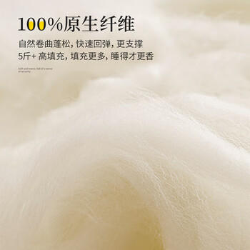 素时代床垫子1.5x2米 宿舍家用抗菌床垫被褥铺底榻榻米褥子加厚床褥垫被 商品图1