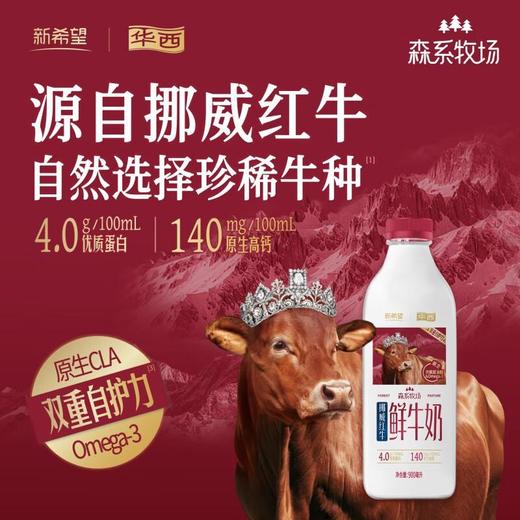 新希望森系牧场红牛4.0蛋白鲜牛奶 900ml/瓶 商品图1