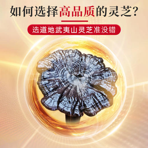 元生泰 紫灵芝茶 100g/袋 片整朵灵芝切片有机仿野生大段木种植煲汤灵芝茶 商品图2