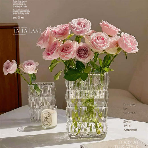 秒杀特价：网红加厚卢索水晶玻璃花瓶19.9 商品图0