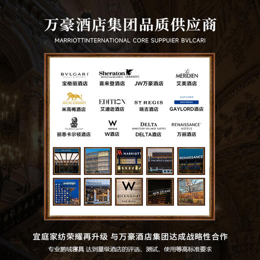 莫里斯典藏家可水洗鹅绒被两件套 商品图4