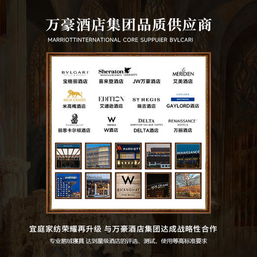 拾穗者95可水洗鹅绒被两件套（圣境粉） 商品图4