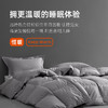 斯诺曼Snowman【品牌直发】 抑菌静音羽绒被芯95%鹅绒被保暖加厚冬被6201572 商品缩略图4