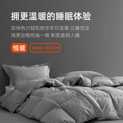 斯诺曼Snowman【品牌直发】 抑菌静音羽绒被芯95%鹅绒被保暖加厚冬被6201572 商品图4