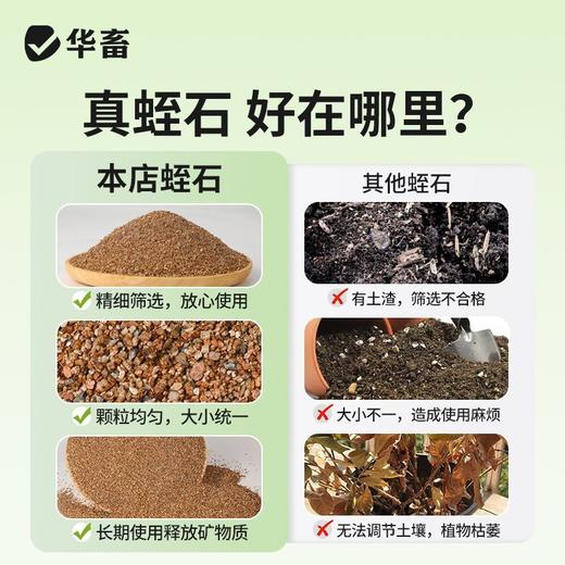 华畜蛭石珍珠岩多肉颗粒土铺面石育苗拌土发根营养土大颗粒通用型 商品图3