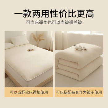 雅鹿·自由自在 新疆棉花床褥子床垫双人被褥垫被铺底棉花垫褥150x200cm【8斤】 商品图1