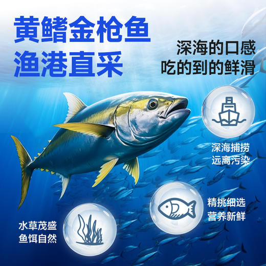金枪鱼沙拉罐头 | 深海捕捞 海味珍品 即食吞拿鱼 健身代餐 清爽黄瓜味 无需另备果蔬 商品图2