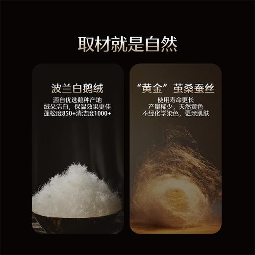 水星家纺MERCURY 【限定·品牌直发】床上用品水星X·金桑蚕丝波兰鹅绒被2489420 商品图1