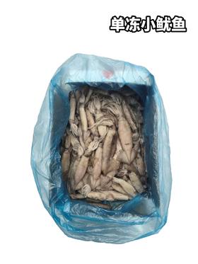 单冻小鱿鱼　一斤6-9条左右