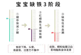 宝宝钙铁锌科普