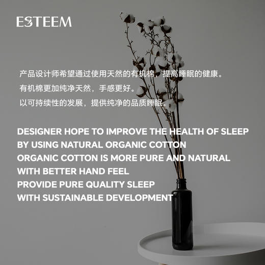 无染之境生态有机棉白鹅绒二合一子母床垫 商品图1