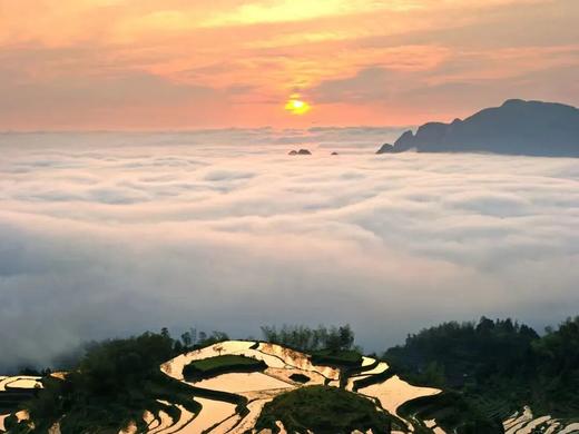 “云和你 童话里”云和氧气音乐自驾之旅2天1晚 商品图0