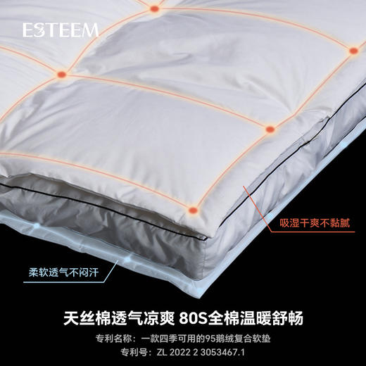 双温双感365D鹅绒功能床垫 商品图3