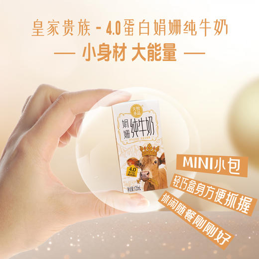 天牧圣品娟姗4.0蛋白纯牛奶125mlx10/三提装 生牛乳+原生蛋白+原生高钙 商品图5