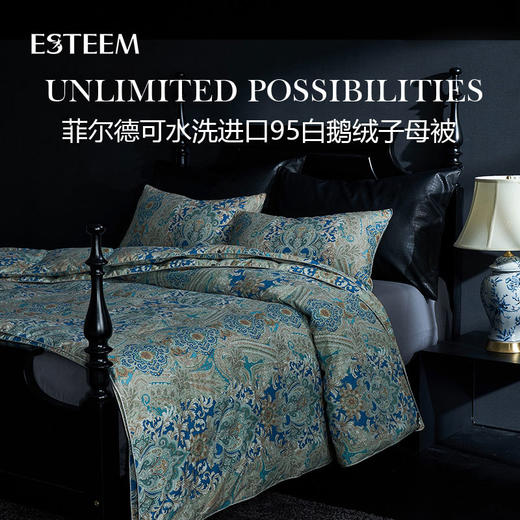 菲尔德可水洗鹅绒被两件套 商品图0
