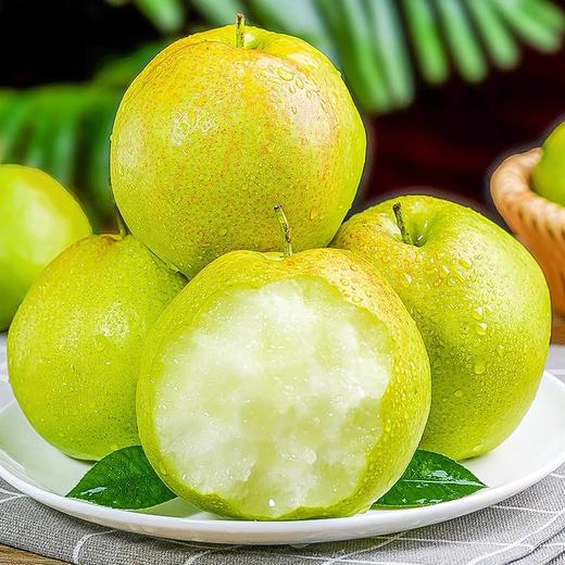 10斤精美礼盒装超大果(梨王)超大果11-12枚 商品图1