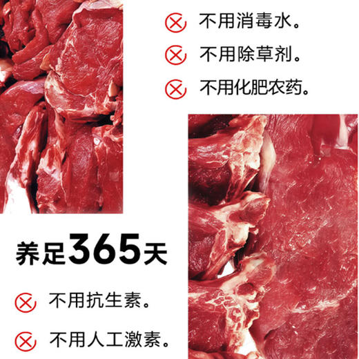 【养足365天】鲜草饲养 顺丰到家 | 广东阳江鲜草羊肉 生羊肉 厨房食材 1kg 商品图2
