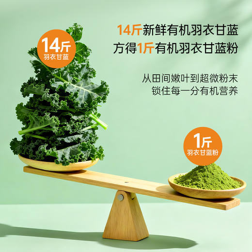 【会员专享】ffit8有机羽衣甘蓝粉30g/盒 商品图4