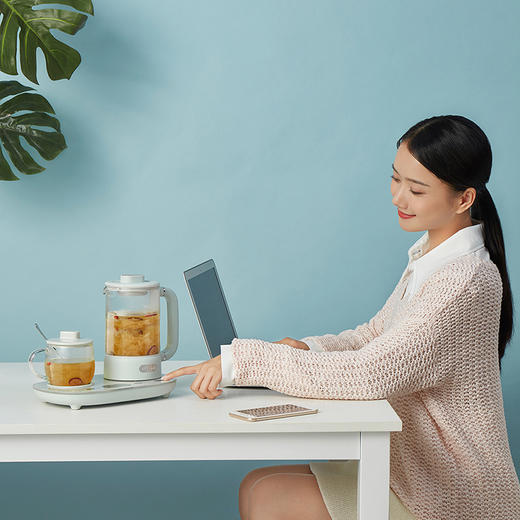 小熊养生壶YSH-C06N1—rxs 商品图1