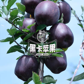 【黑卡苹果】高颜值黑紫贵族，苹果中最特别那一颗  花青素巨多