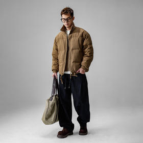 徐太浪【cleanfit 白鸭绒】辑行立领羽绒服男冬季厚款防寒服外套