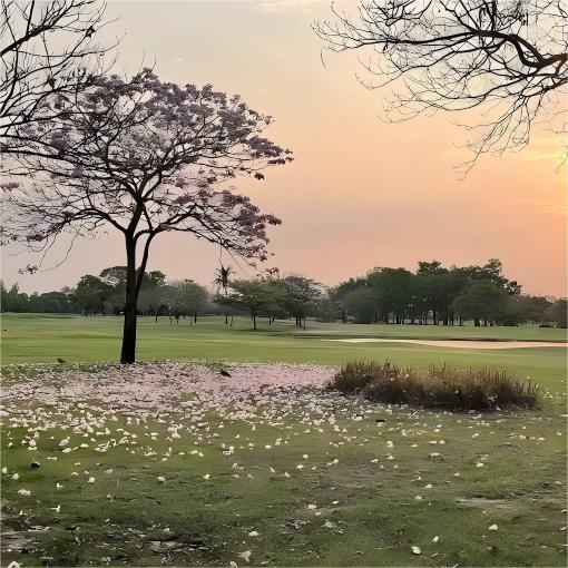 青果高尔夫俱乐部 （酒庄俱乐部）The Vintage Club | 曼谷高尔夫球场 | 泰国高尔夫球场俱乐部 商品图3