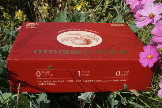 010宁夏中卫沙坡头旱苹果 红富士  沙漠的珍宝 皮薄肉脆 酸甜适中  商品图10