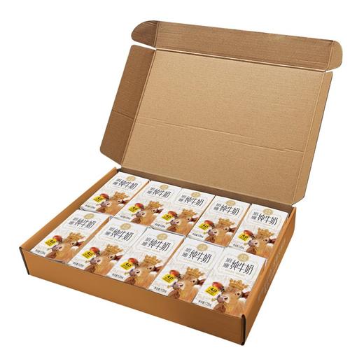 天牧圣品娟姗4.0蛋白纯牛奶125mlx10/三提装 生牛乳+原生蛋白+原生高钙 商品图8