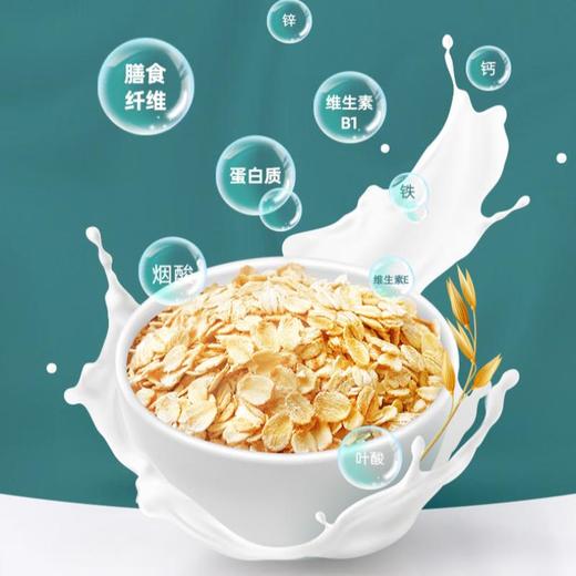 阴山优麦 纯燕麦片55g 商品图5