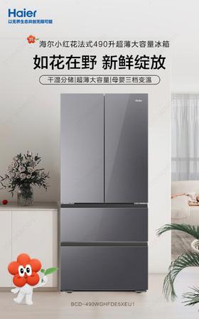 5楼京东家电海尔冰箱490升
