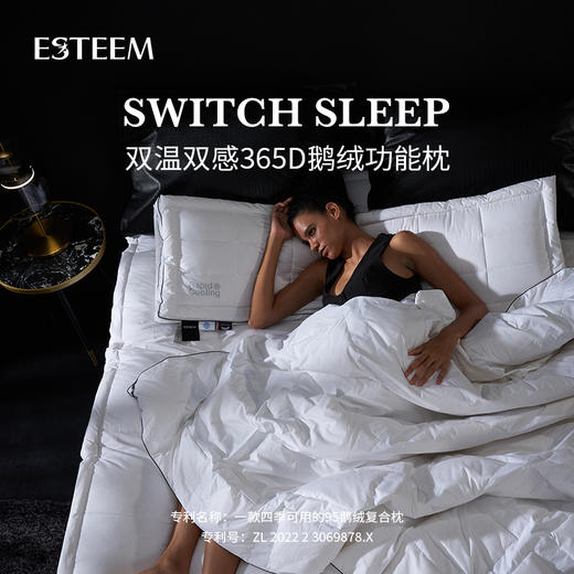 双温双感365D鹅绒复合功能枕 商品图0