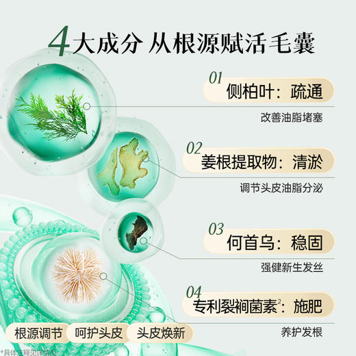 荷馨黑松露发膜+荷馨防脱洗发露 增发密发固发修护滋养强韧蓬松-sy 商品图5