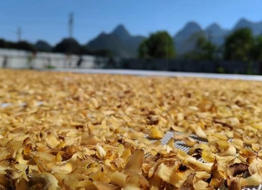 秋冬气燥，野生食疗：野生干百合，,玉竹，麦冬！ 商品图1