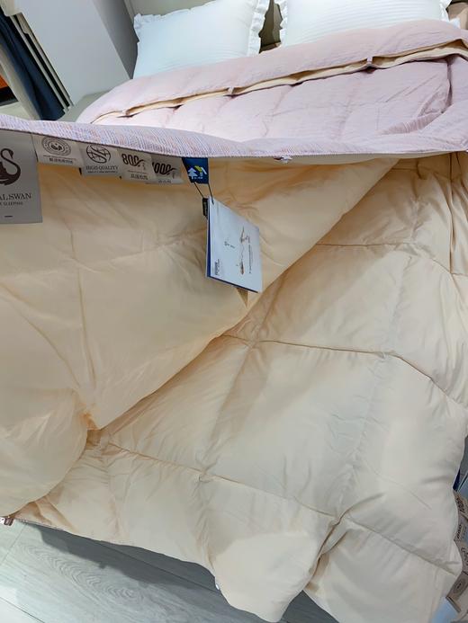 松植屋魅格子母鹅绒被精选95白鹅绒大朵羽绒被 一被四季可用、静音防羽面料→不跑绒无异味 商品图9