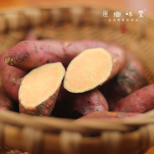 生态老品种鸡蛋黄红薯（农场直发-顺丰包邮） | 5斤/件，来自成都郫都【原乡农场，自产自销】 商品图4