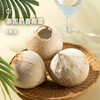 企鹅市集|泰国进口香水椰皇 奶香椰皇6颗装 清甜椰子水 鲜嫩椰肉 天然椰子 商品缩略图0