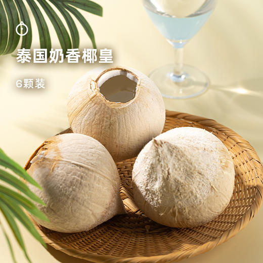 企鹅市集|泰国进口香水椰皇 奶香椰皇6颗装 清甜椰子水 鲜嫩椰肉 天然椰子 商品图0
