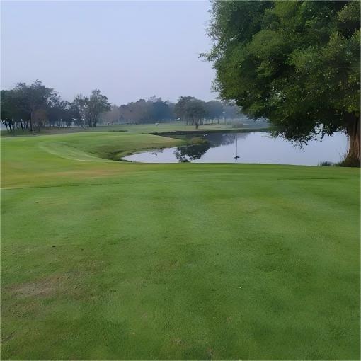 曼谷·优尼朗高尔夫乡村俱乐部 Uniland Golf & Country Club  | 曼谷高尔夫球场 | 泰国高尔夫球场俱乐部 商品图5