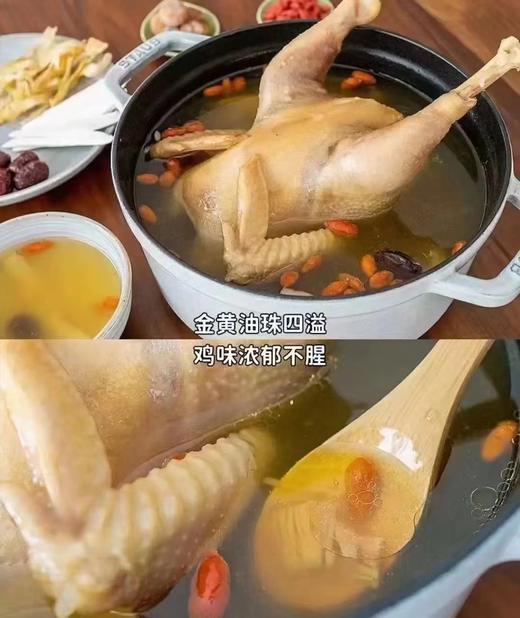 九华山散养500天黄油老母鸡49元／只约2.3-2.6斤净膛，明天到 商品图7