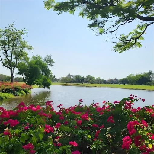 青果高尔夫俱乐部 （酒庄俱乐部）The Vintage Club | 曼谷高尔夫球场 | 泰国高尔夫球场俱乐部 商品图2