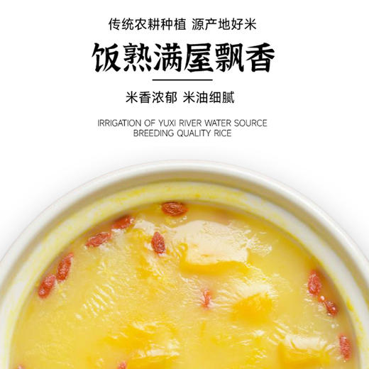 扶风寨正宗陕北米脂小米 精选杂粮 山地种植 口感醇厚 颗粒饱满 商品图4