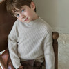 【99元2件】【专柜品质】儿童毛衣针织衫 秋冬新款半高领长袖中大童洋气套头衫毛衣 商品缩略图1
