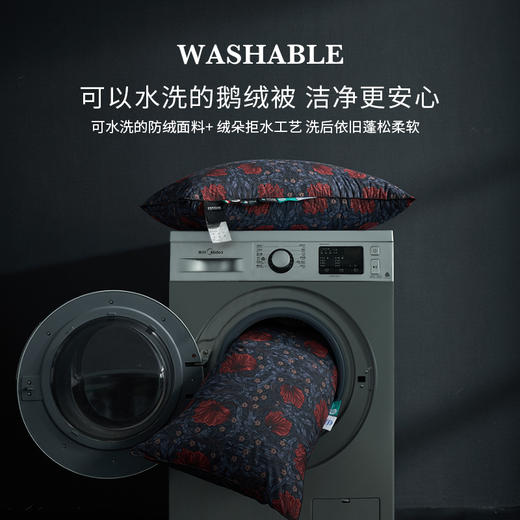 莫里斯传奇可水洗鹅绒枕 商品图3
